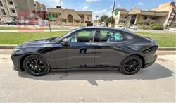 شانجان يوني في